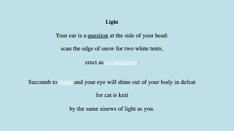 gallery image of To Find the White Cat in the Snow