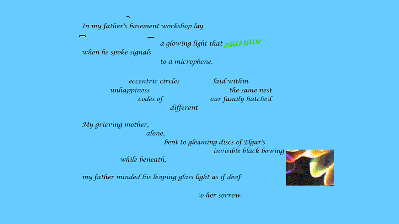 gallery image of Bird Calls