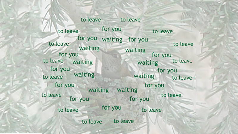 gallery image of Intruder