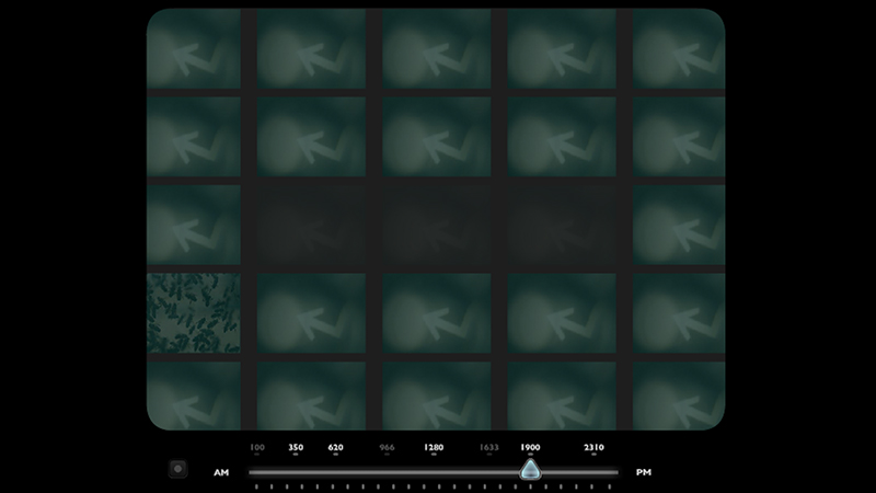 gallery image of What They Said