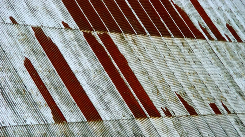 gallery image of rust