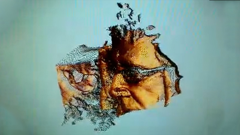 gallery image of self-portrait turning around scan