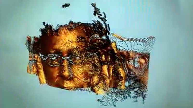 gallery image of self-portrait turning around scan