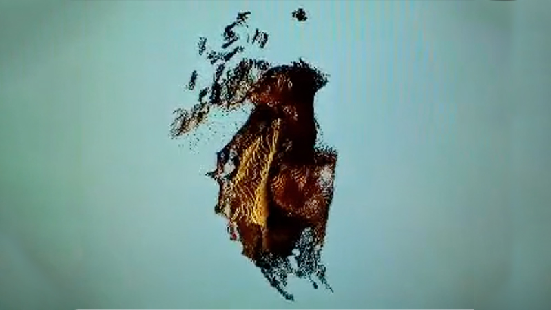 gallery image of self-portrait turning around scan