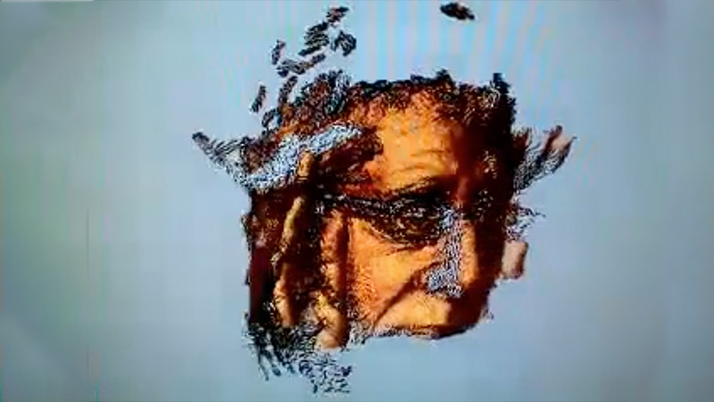 gallery image of self-portrait turning around scan