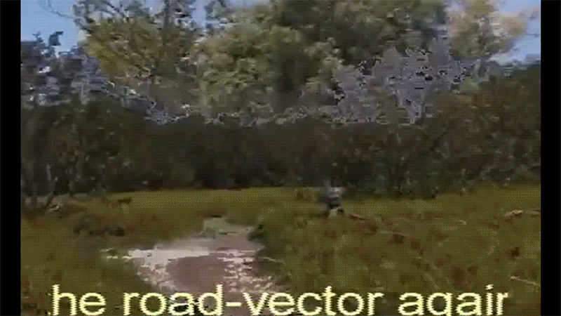 gallery image of pathless path