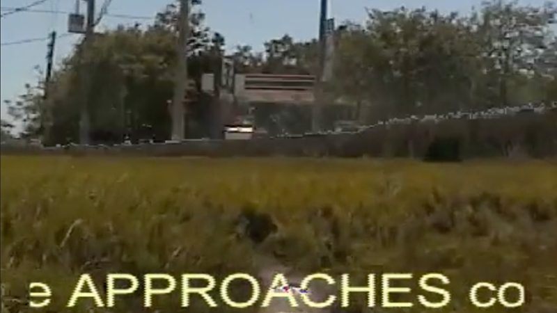 gallery image of pathless path