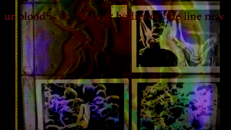 gallery image of Homeland