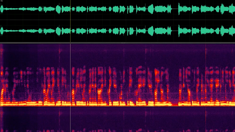 gallery image of warsite