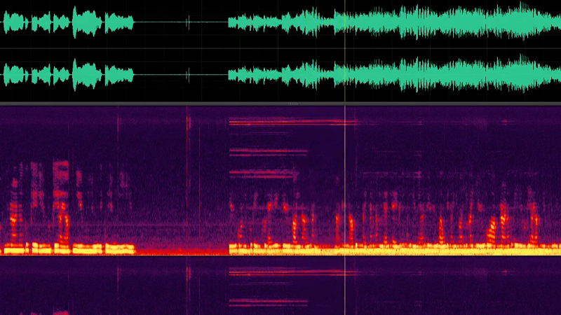 gallery image of warsite