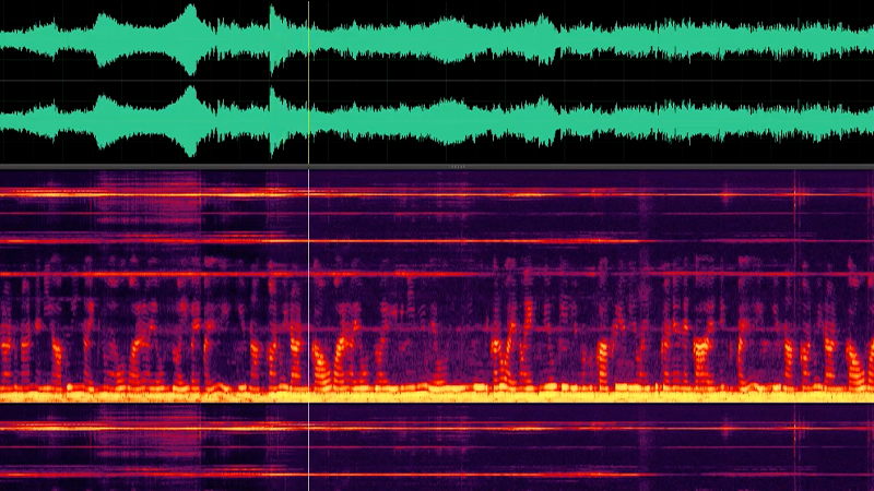 gallery image of warsite