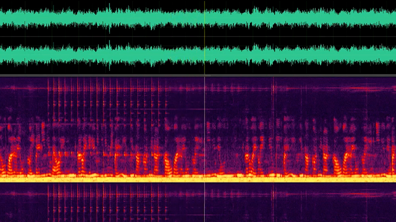 gallery image of warsite