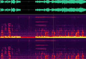 highlight image of work