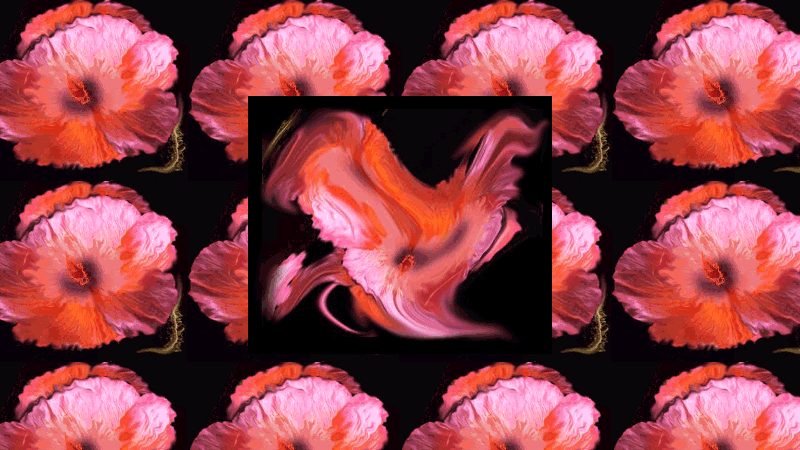 gallery image of The Rockgarden of Love