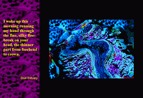 highlight image of work