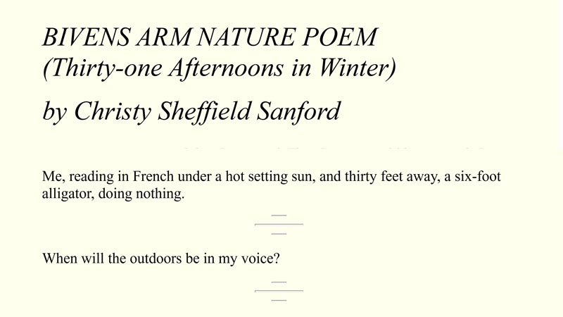 gallery image of Bivens Arm Nature Poem