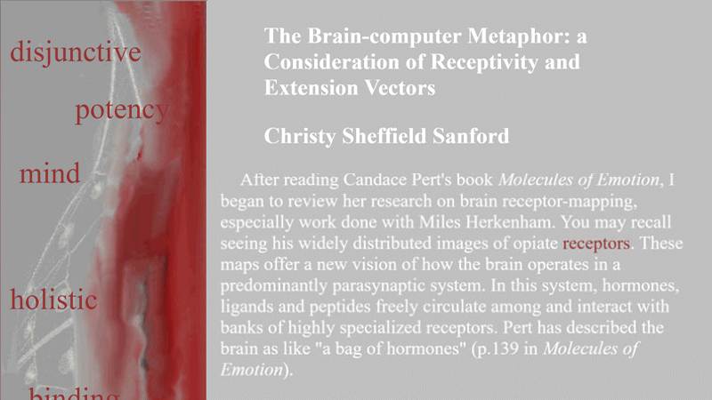 gallery image of The Brain-computer Metaphor