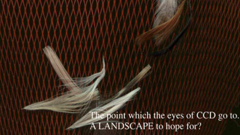 gallery image of i am anxious about the frame recently