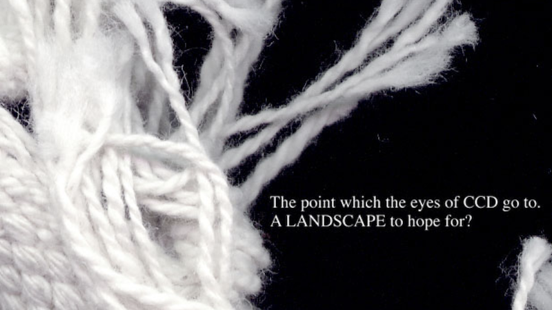 gallery image of i am anxious about the frame recently