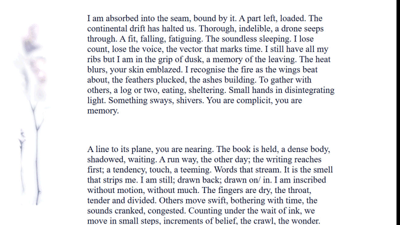 gallery image of Ambrosia