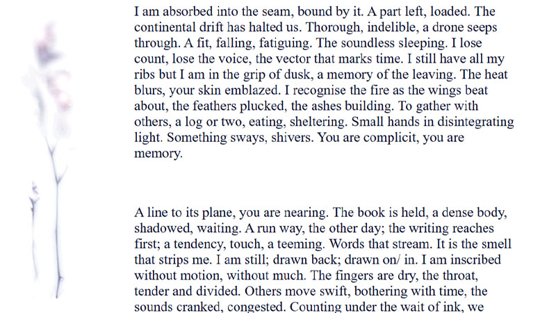 gallery image of Ambrosia