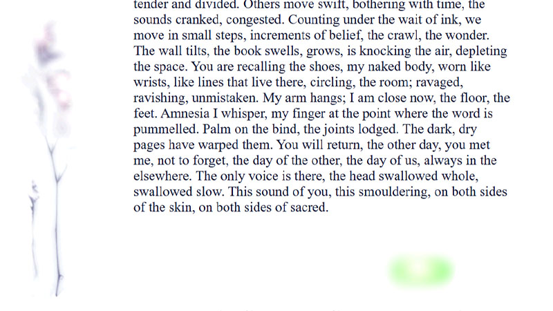 gallery image of Ambrosia