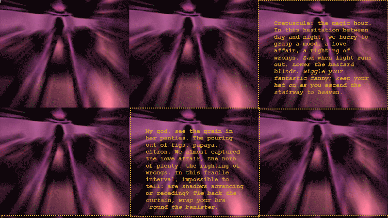 gallery image of The Silky Meander with the Dutch Director