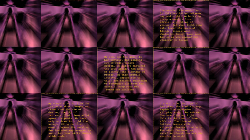 gallery image of The Silky Meander with the Dutch Director