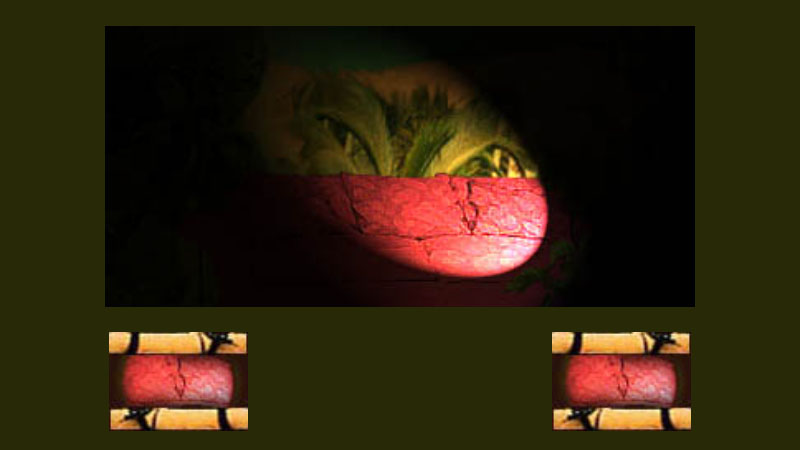 gallery image of Gender and the Web