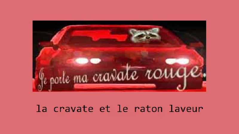 gallery image of La cravate et le raton laveur