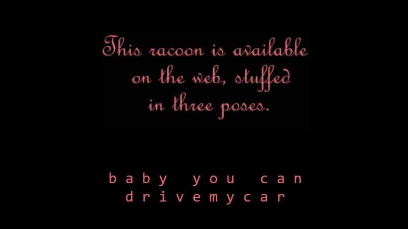 gallery image of La cravate et le raton laveur