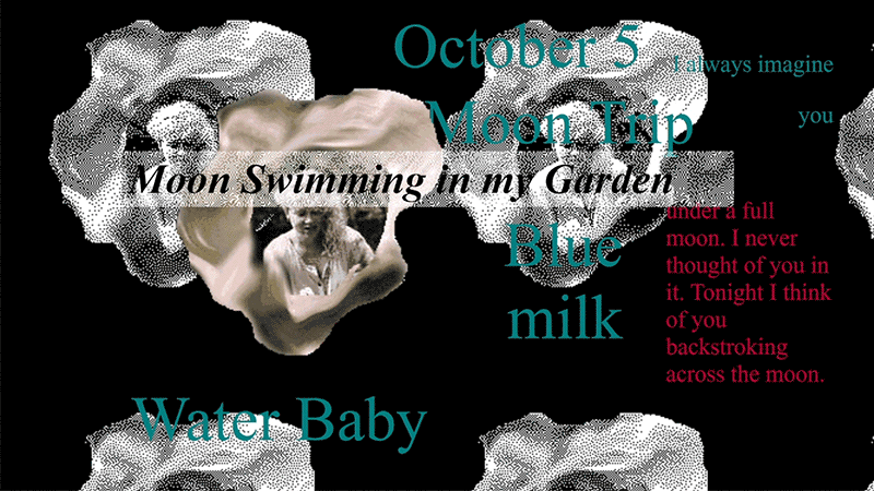 gallery image of Moon Swimming in my Garden