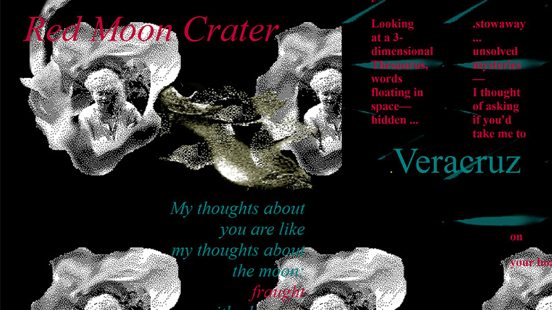 gallery image of Moon Swimming in my Garden