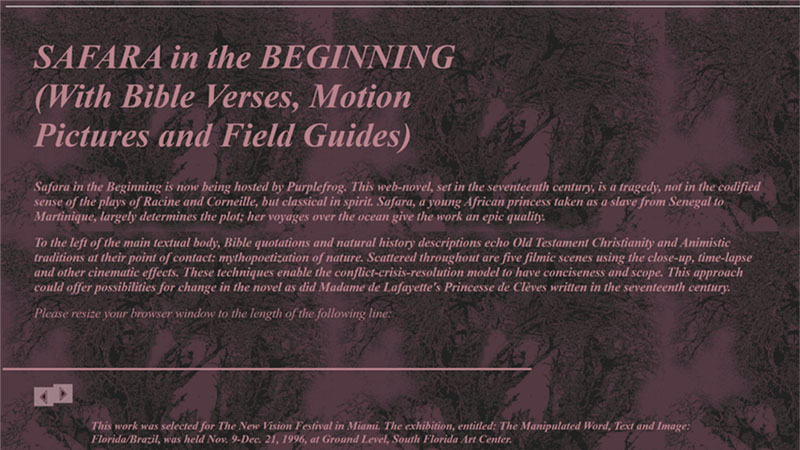 gallery image of Safara in the Beginning