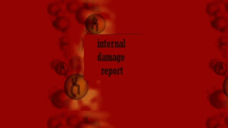 gallery image of Internal Damage Report