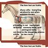 thumbnail image of work