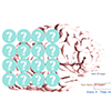 thumbnail image of work