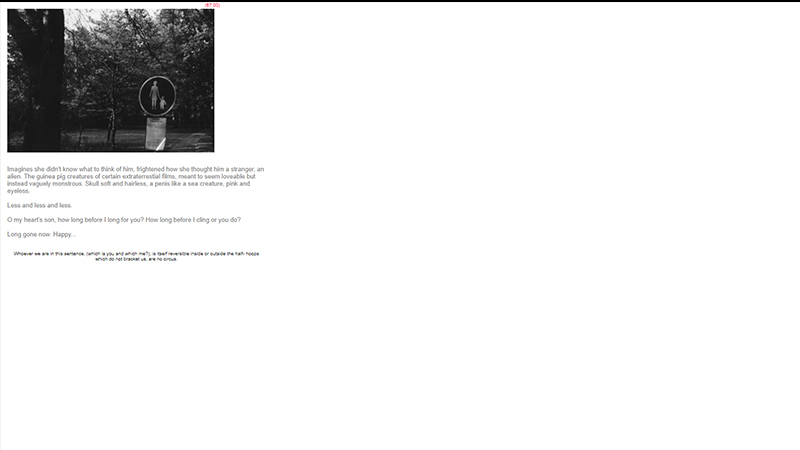 gallery image of On the Birthday of the Stranger