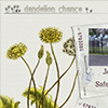 thumbnail image of work
