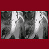 thumbnail image of work