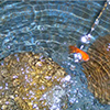 thumbnail image of work