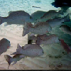 thumbnail image of work
