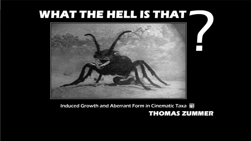 gallery image of What the Hell is That?