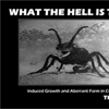 thumbnail image of work