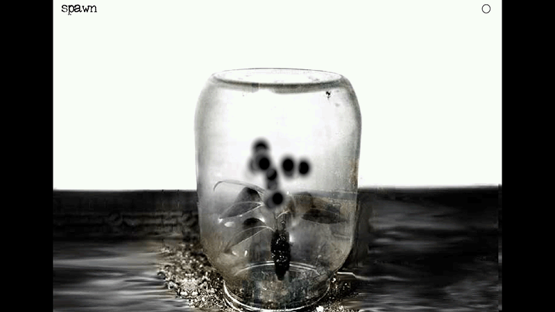 gallery image of Spawn