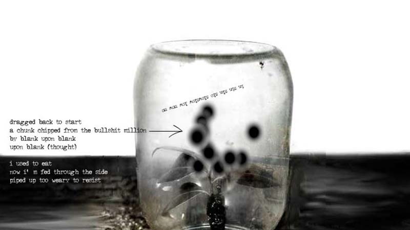 gallery image of Spawn