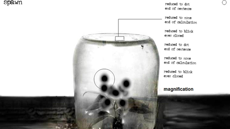 gallery image of Spawn