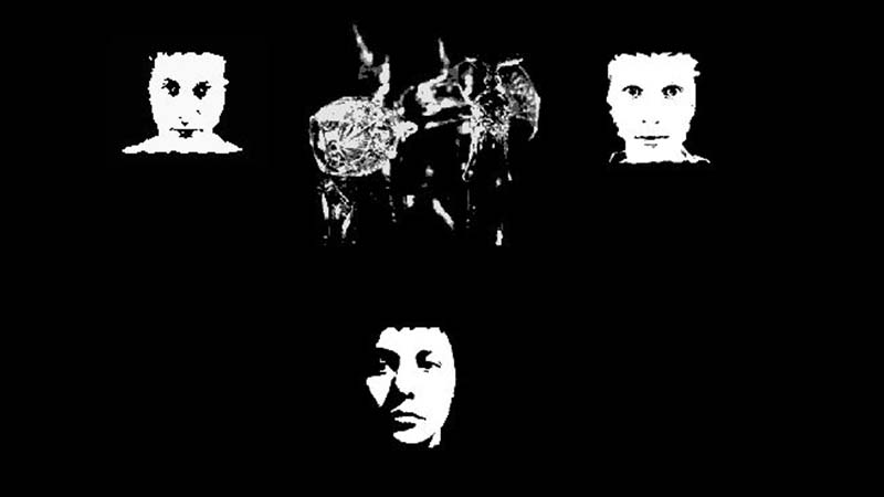 gallery image of Intersecting Lives