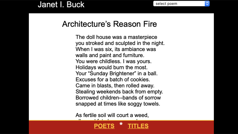 gallery image of Architecture's Reason Fire