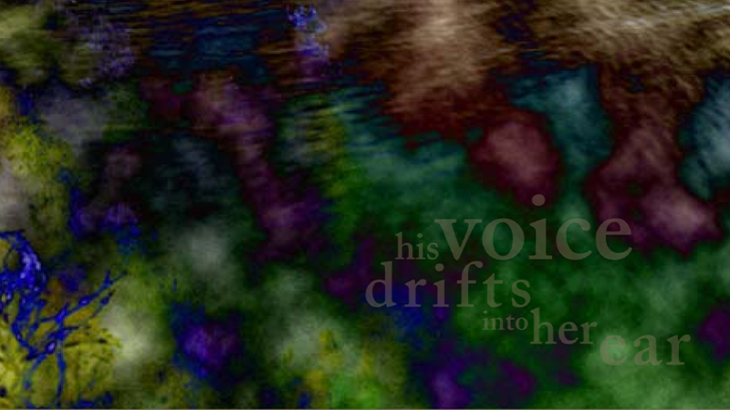 gallery image of Diver